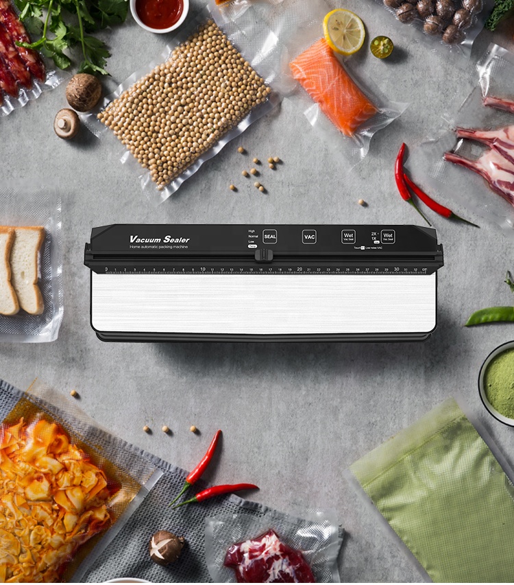 電気家庭用プロフェッショナル食品真空シーラー機拡大ダブルポン - Food Storage Vacuum Pump のレビューと価格