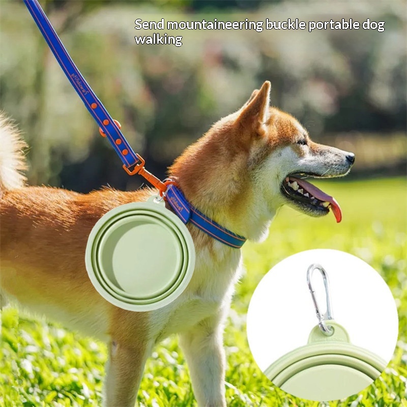 シリコン製犬用フード・水飲みボウル、折りたたみ式2in1ペッ - Portion Control Container のレビューと価格