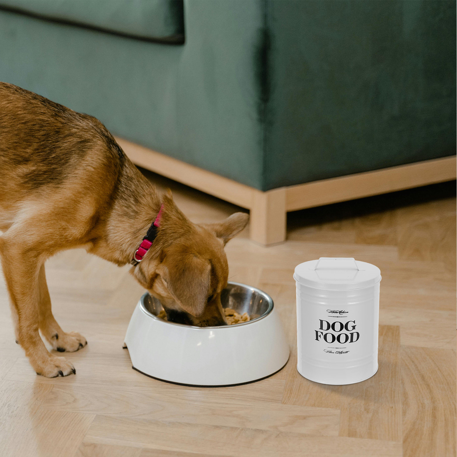 54オンスの頑丈な鉄製ドッグフード保存容器、気密性のあるペッ - Food Storage Dog のレビューと価格